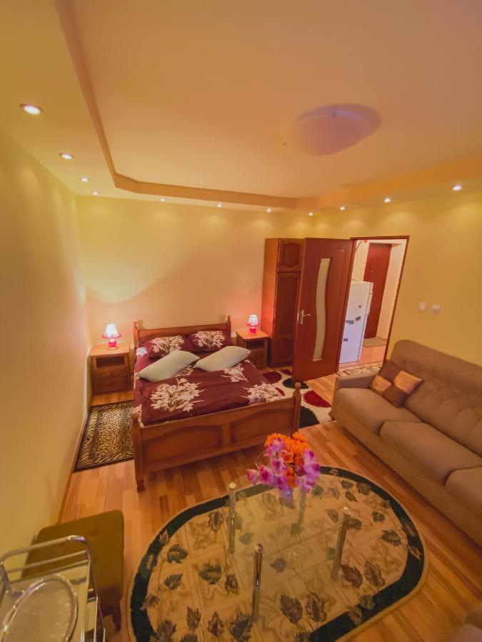 Apartament Cristian Geoagiu Băi Esterno foto