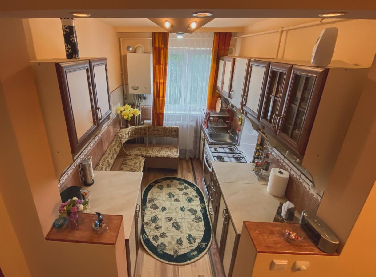Apartament Cristian Geoagiu Băi Esterno foto