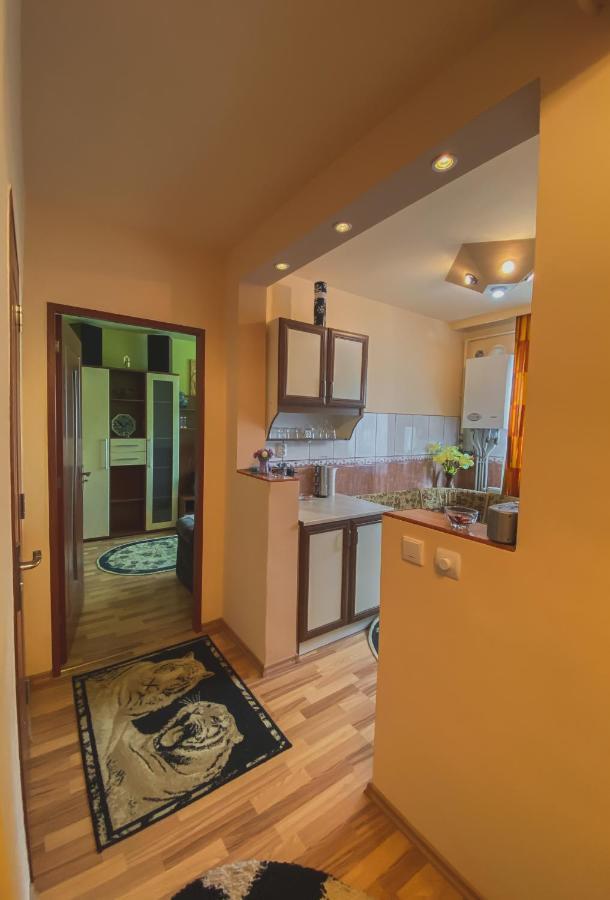 Apartament Cristian Geoagiu Băi Esterno foto