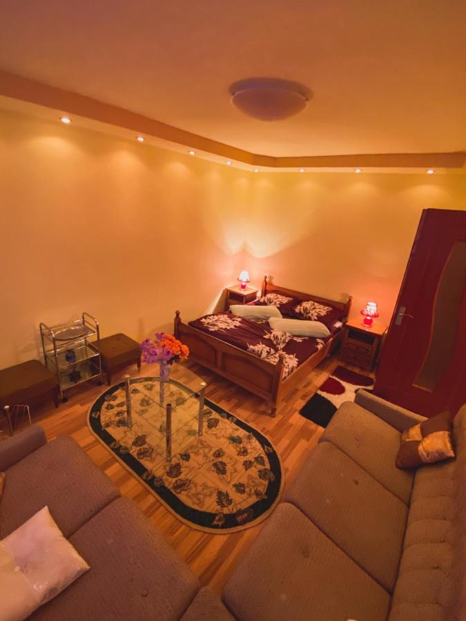 Apartament Cristian Geoagiu Băi Esterno foto