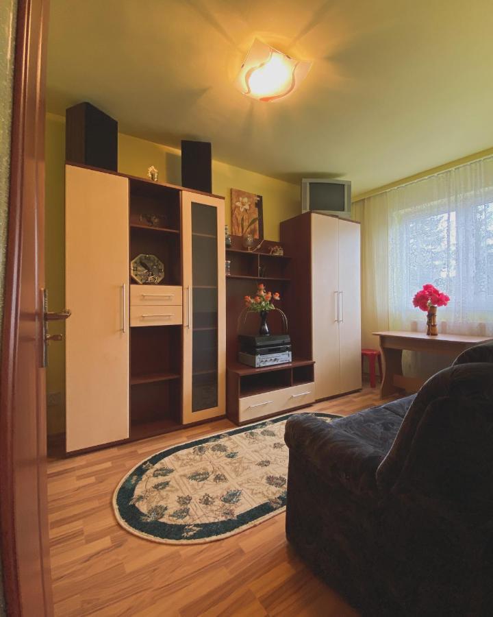 Apartament Cristian Geoagiu Băi Esterno foto
