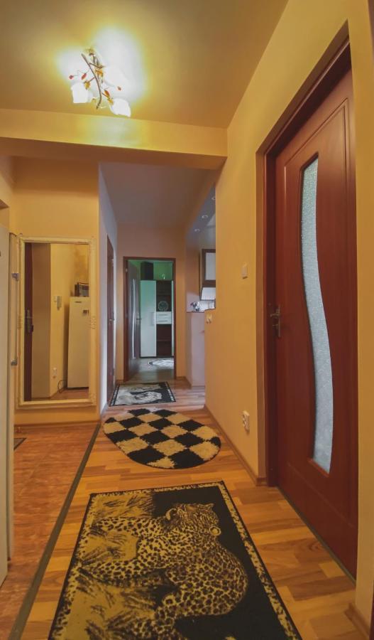 Apartament Cristian Geoagiu Băi Esterno foto